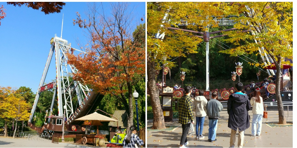 클릭을 하시면 실제 이미지 크기로 보실 수 있습니다.